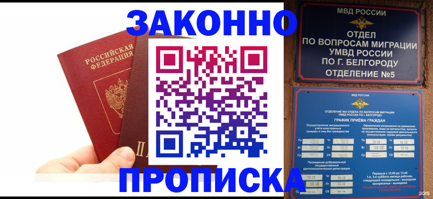 временная регистрация для школы в Курской области